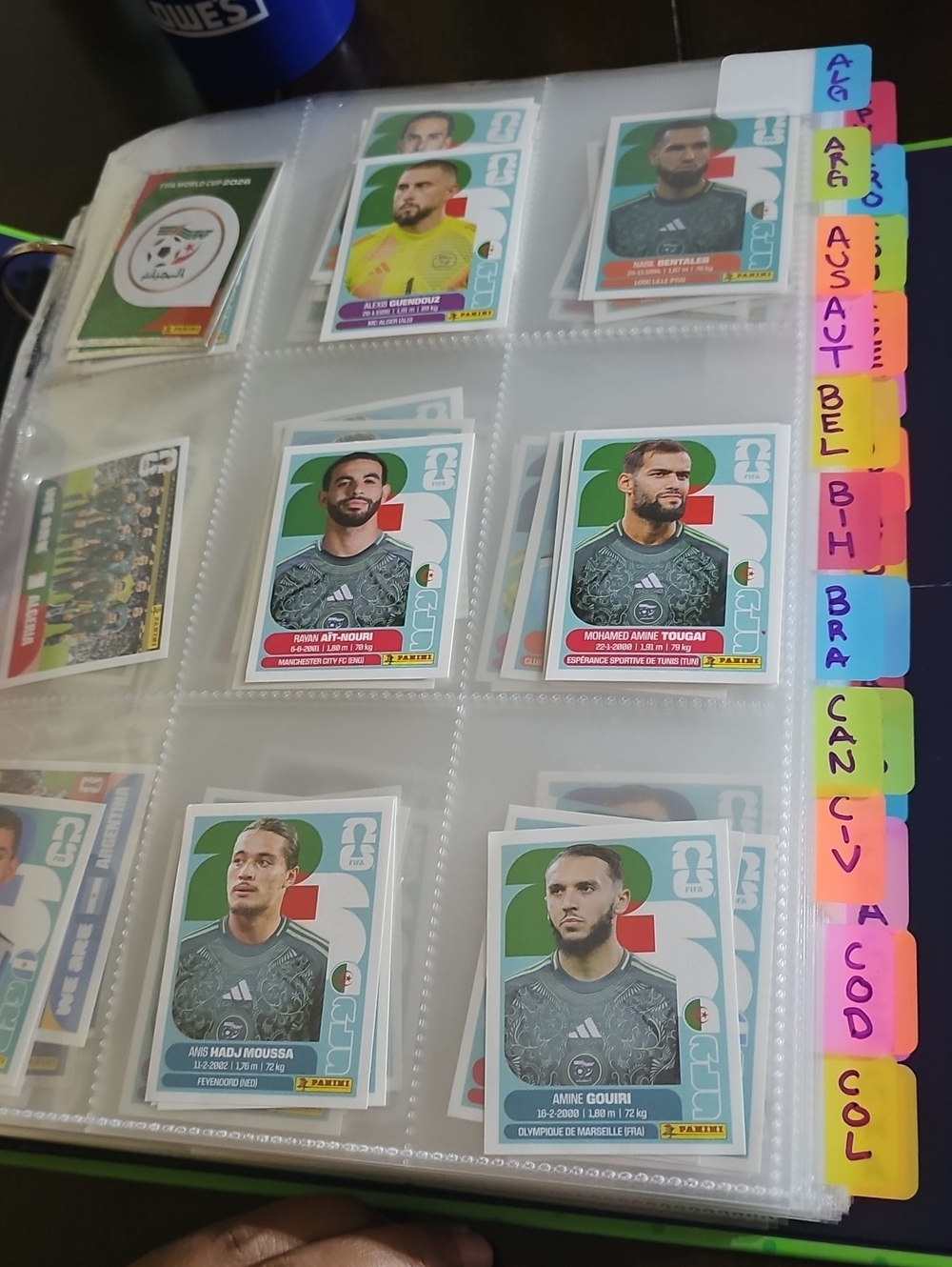 Panini Soccer Sticker - White Border See On The Description For Details